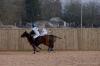 Oxford Polo 2022_12_11 0018